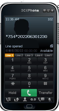 hotel-asterisk-call-files-7